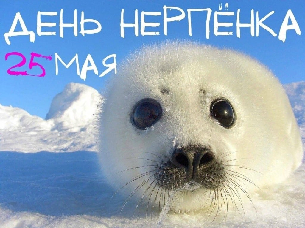   ,    . - 24  2022  19:02 - 3