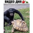 ���� ������, ������-��-����, 54 ���� - ��������� 14 ������ 2022 � ������ ����� �����!!! ���������