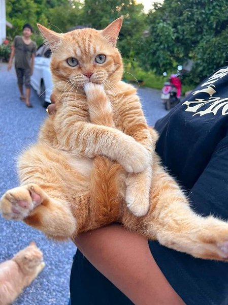 ���������-����������))) - 3