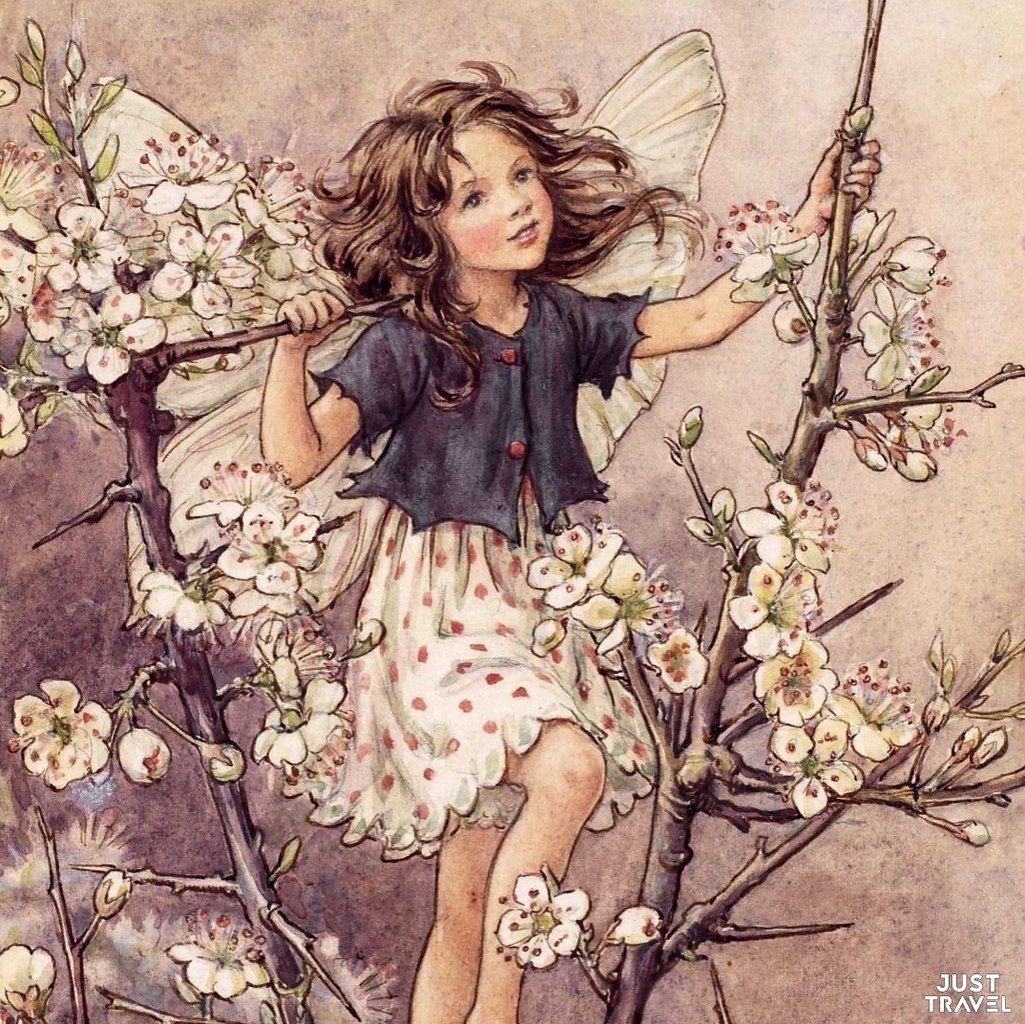o officialflowrfairis.#art #travel #world - 8