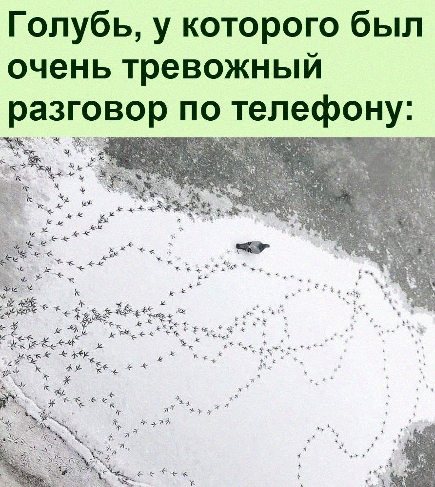   :D - 6  2022  11:37