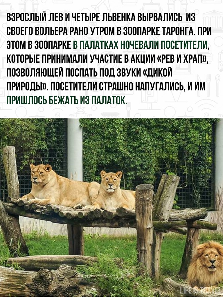       .     ... - 2