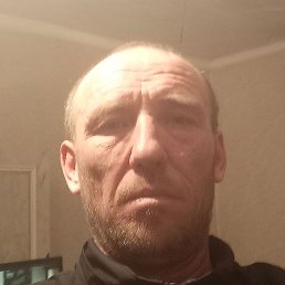 �������, �����, 51 ���