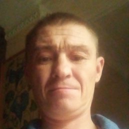 �������, ������, 41 ���