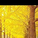 ���� Alex/, ��������� - ��������� 20 ������ 2022 � ������ ������� ��������