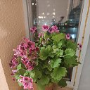 ���� ������, �����-���������, 49 ��� - ��������� 14 ������ 2022