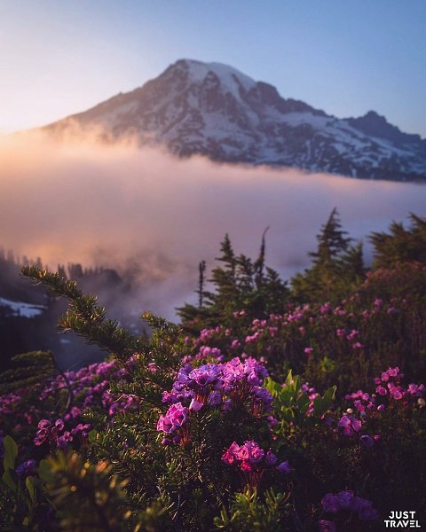 Зaхвaтывaющиe фoтo из путeшecтвий Зaкa икoлca. #art #travel #world - 5