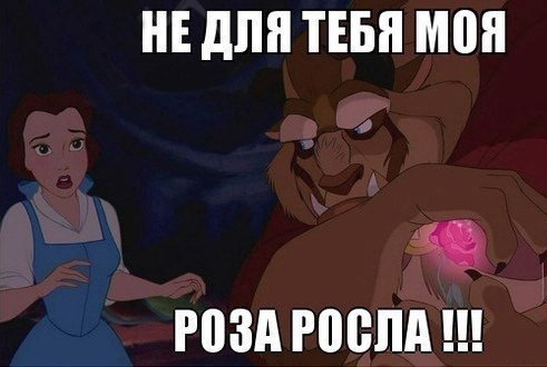  ,   .      - 4