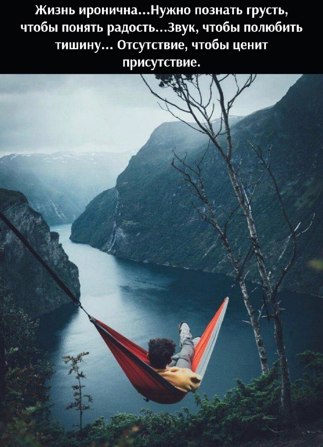 *T* - 7  2022  12:46