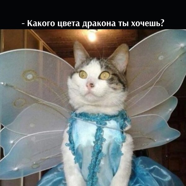       - 13  2022  13:41 - 4