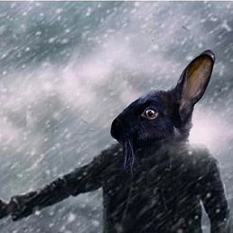 �������, ������, 38 ���