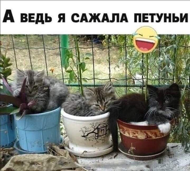 :)