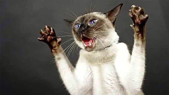 -    ?       ,    .  ...