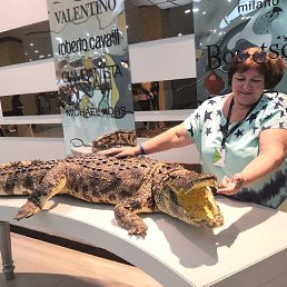 ���� �������, ����, 61 ��� - ��������� 16 ������ 2022