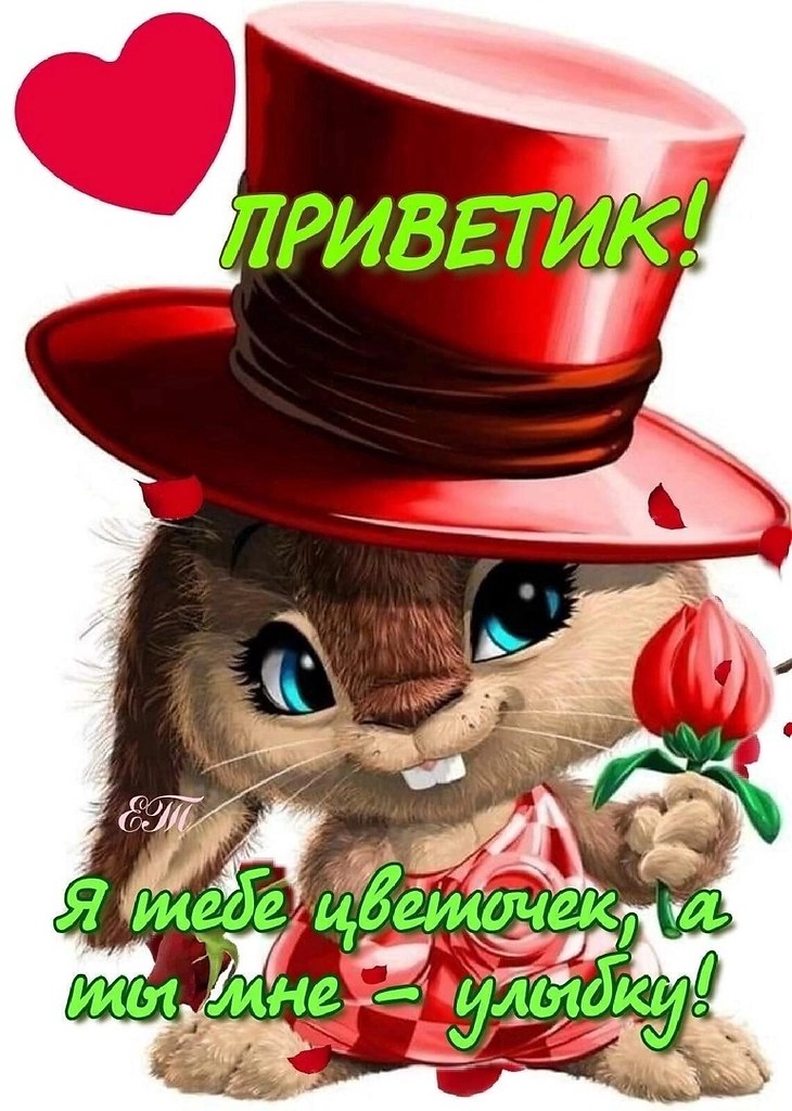   ,    . - 8  2022  12:41