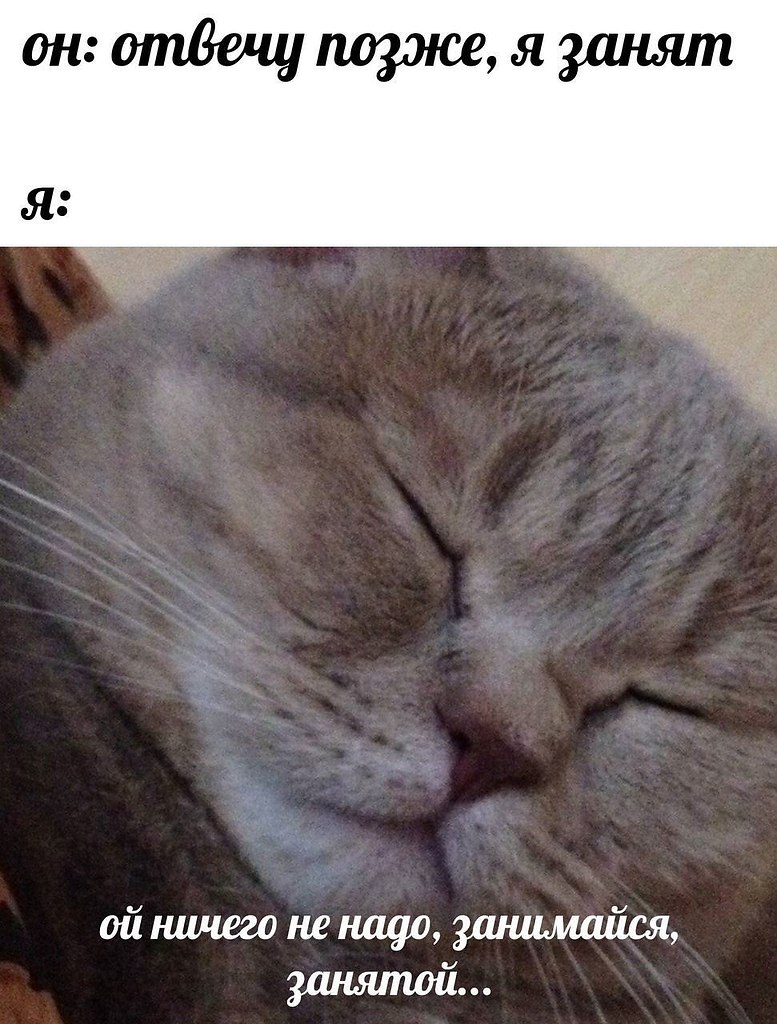    - 18  2023  20:19