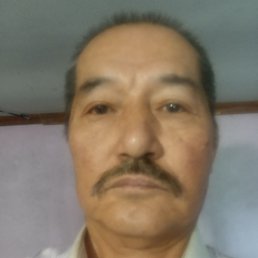 �������, ������, 67 ���