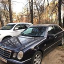 ���� ����, ����, 43 ���� - ��������� 18 ������ 2022 � ������ ���� ����������