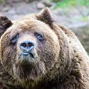 ���� �������, ���������, 51 ��� - ��������� 25 ������ 2022 � ������ ���� ����������