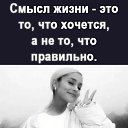 ���� �����, ����, 40 ��� - ��������� 14 ������� 2023 � ������ ���� ����������