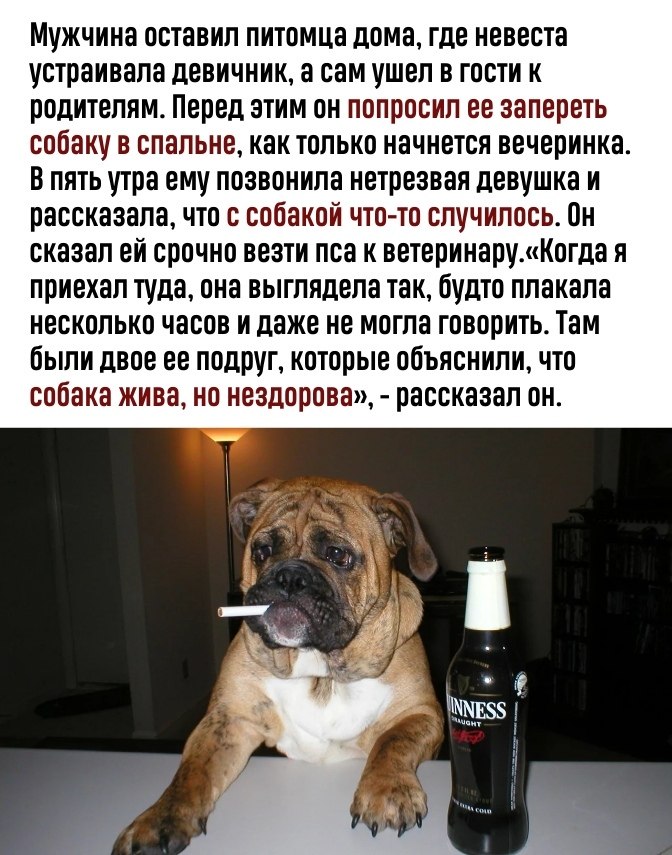    ,     - 2