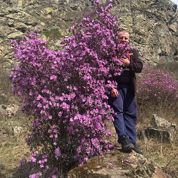 ���� �����, �����������, 62 ���� - ��������� 13 �������� 2022