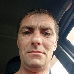 ������, �����, 39 ���