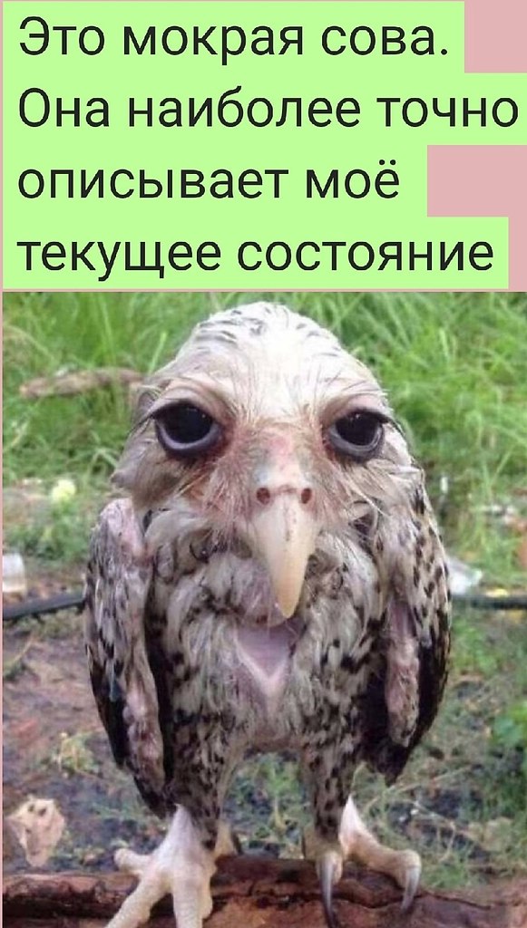   :D - 4  2022  08:49