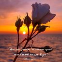  ))!, , 42  -  6  2022    