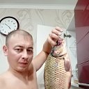 ���� �����, ������, 39 ��� - ��������� 13 ������ 2022 � ������ ���� ����������