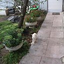 ���� �����, ����������� - ��������� 29 ��� 2022 � ������ ���� ����������