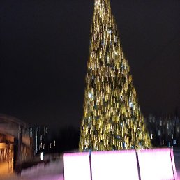 ����, ������, 29 ���