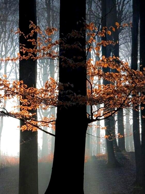 �������.. �� � ������...