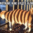 ���� �, ������� - ��������� 5 ������ 2022