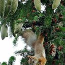  , -, 50  -  20  2022    