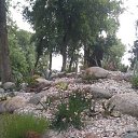 ���� ����, �����, 58 ��� - ��������� 8 ������� 2022 � ������ ���� ����������