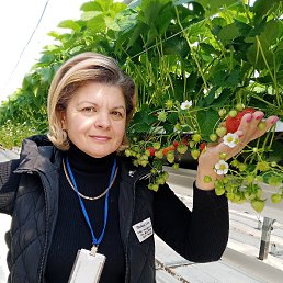 ���� �������, ����������, 51 ��� - ��������� 23 ������� 2022