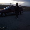  , , 36  -  11  2022