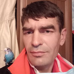 ������, �������, 47 ���