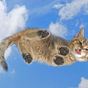 ���� Ilya, ���������, 25 ��� - ��������� 29 ������� 2022 � ������ ���� ����������