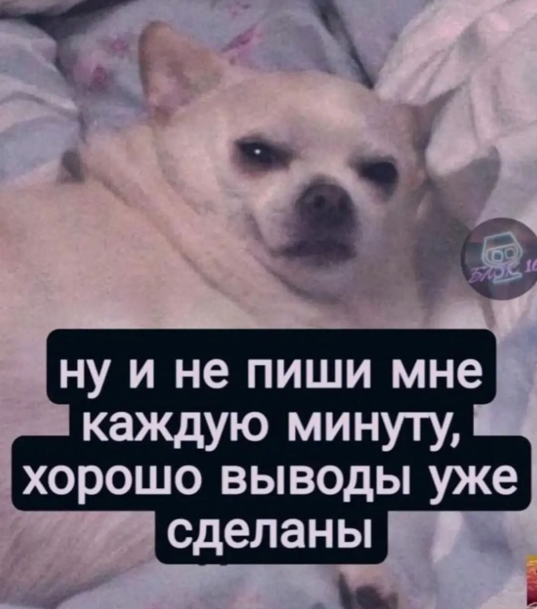 ***Victoria Viktorovna*** - 17  2022  05:22
