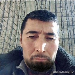 �����, ������, 39 ���