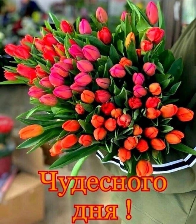   ,    . - 15  2022  13:02 - 3