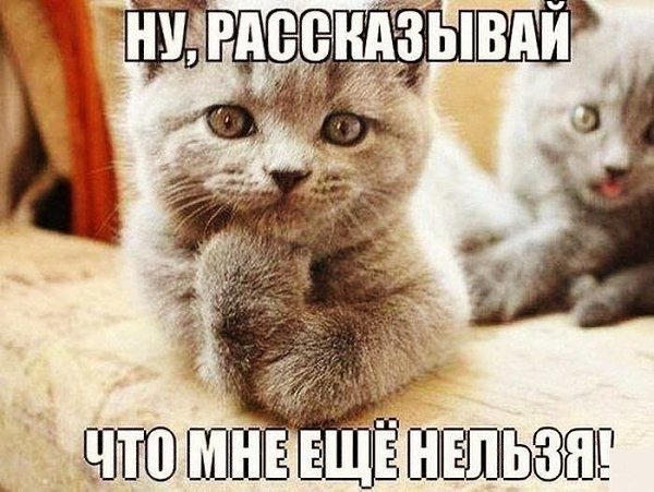    - 27  2022  02:37
