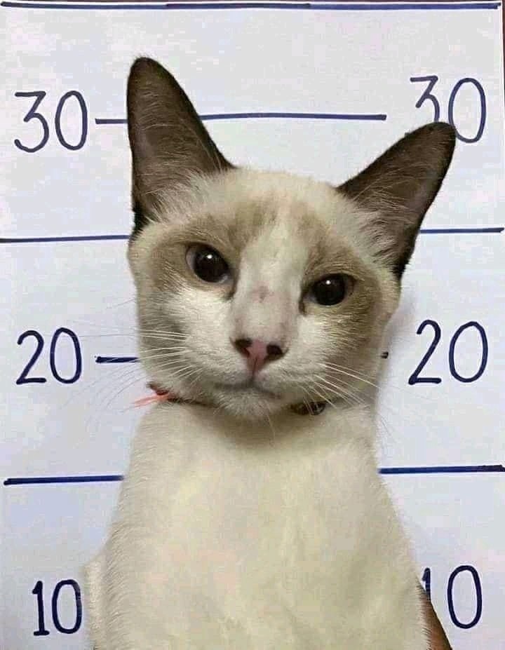   ))) - 2