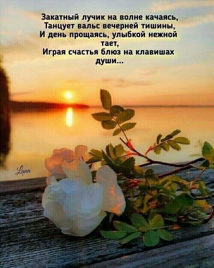   ,    . - 5  2022  18:48 - 3
