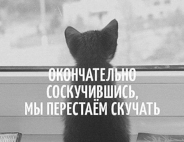   - 12  2022  11:17