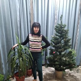 �������, ���������, 54 ����