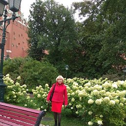 �����, ������, 63 ����