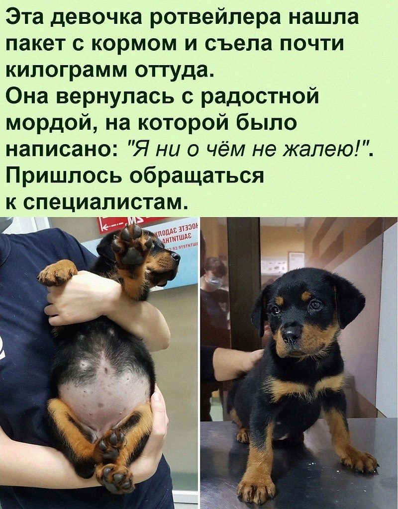   :D - 12  2022  16:40